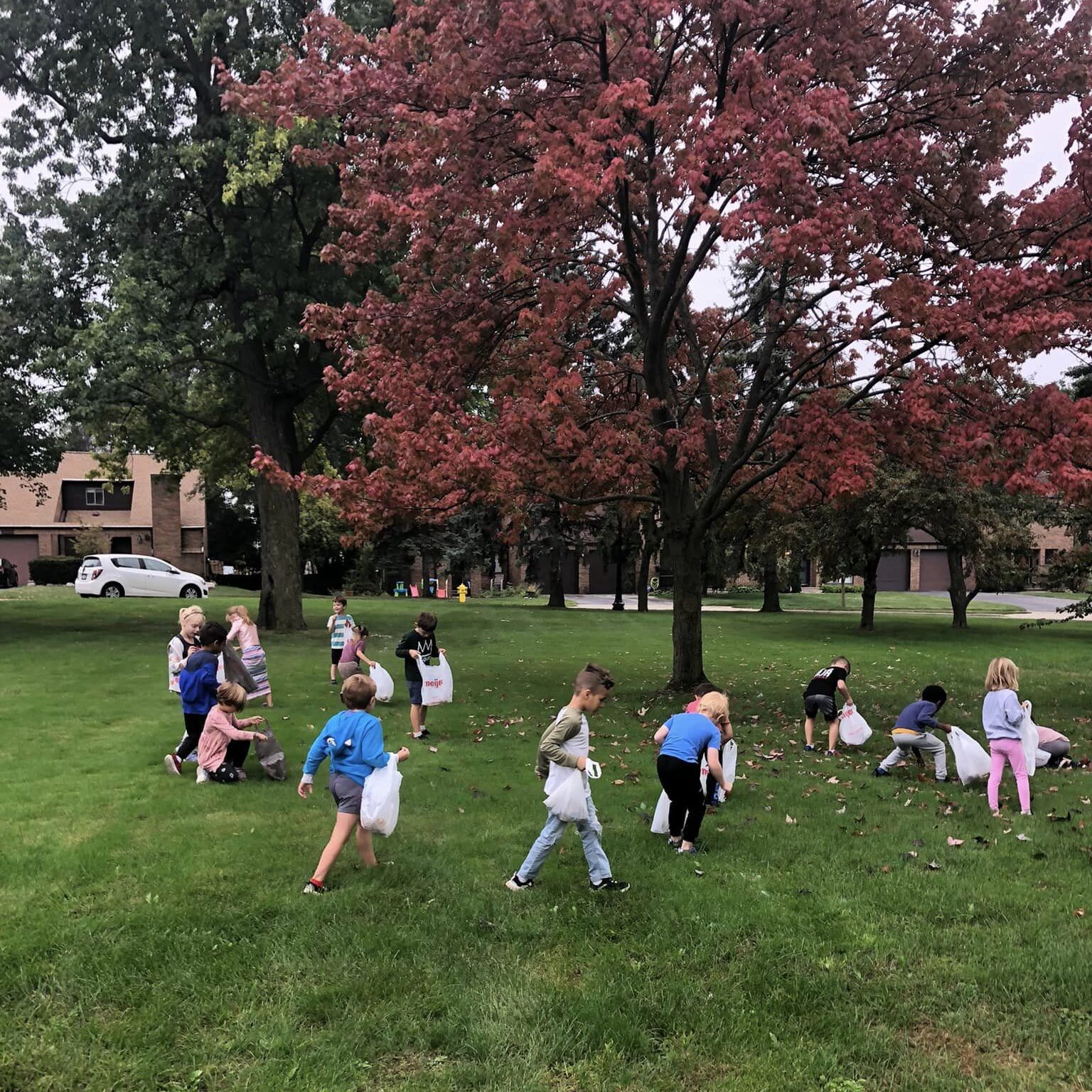 Discovery Care students collect colorful leaves.
