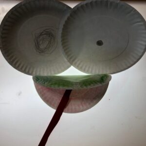 A frog's face using paper plates for eyes and a folded plate as a mouth.